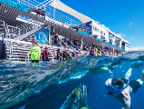 輪播圖片