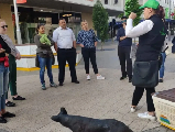 輪播圖片