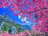 輪播圖片