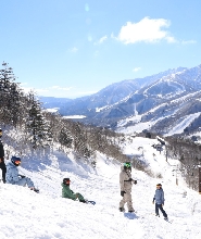 白馬滑雪場 / 成田機場 / 羽田機場 / 東京方向接駁巴士