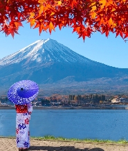 東京/新宿出發 | 富士山人氣打卡景點 富士山下網紅公園&日川時計店&羅森便利店&忍野八海＆大石公園一日遊