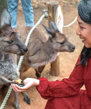 雪梨野生動物園門票