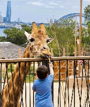 雪梨塔龍加動物園門票
