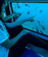 沖繩玻璃水底觀光船之旅