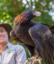 可倫賓野生動物保護區門票