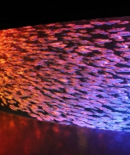 登別尼克斯海洋公園門票