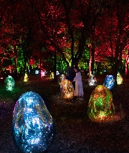 大阪長居植物園 teamLab Botanical Garden Osaka 門票