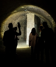 維也納地下世界之旅