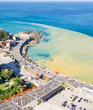 臺北九份半日私人歷史之旅