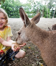 凱恩斯道格拉斯港野生動物棲息地門票