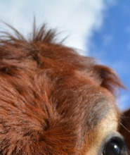 澳洲華納兄弟電影世界 / 海洋世界 / 狂野水上世界通票