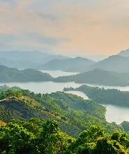 新北石碇茶鄉半日遊
