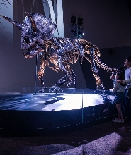 墨爾本博物館門票