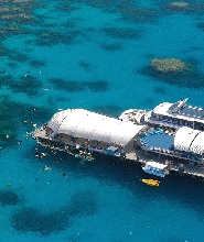 凱恩斯出發|大堡礁浮橋浮潛之旅