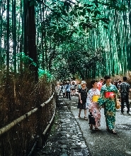 京都嵐山半日私人導覽