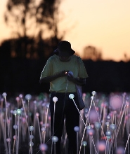 「原野星光」日出之旅