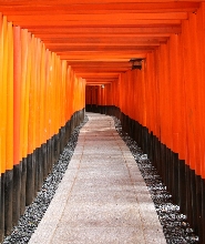 從京都或大阪出發：京都午後導覽之旅