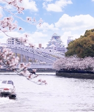 大阪或京都出發：大阪城市一日探索徒步之旅