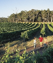 4天奧爾巴尼澳紐軍團紀念日樹頂漫步及瑪格麗特河之旅