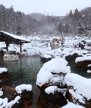 札幌Hoheikyo溫泉體驗（含私人接送）
