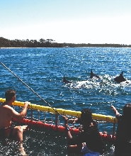 傑維斯灣夏潮織網體驗