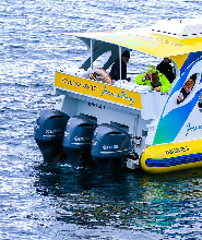 傑維斯灣觀鯨遊船巡航