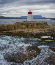 鐵壺燈塔沿海生態觀光遊船體驗（荷伯特出發）