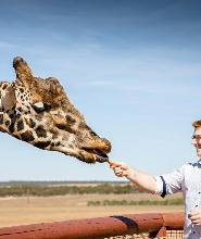 長頸鹿遊獵體驗和莫納託野生動物園門票