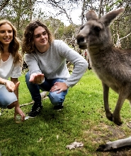月光保護區野生動物保育公園門票