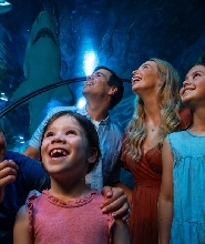 陽光海岸 SEA LIFE 水族館門票