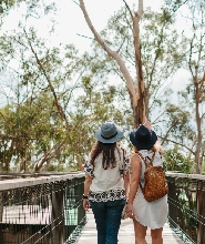 菲利普島無尾熊保育中心門票