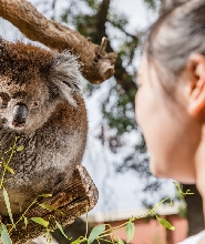 阿得雷德動物園門票