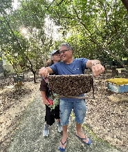 越南富國島北部一日遊(獨木舟體驗、星魚海灘及 Rach Vem)
