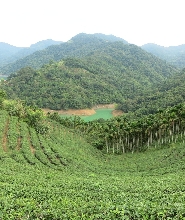 貓空纜車 & 坪林茶莊 & 石碇千島湖一日遊