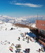 東京出發 | 白馬五龍 & 47滑雪場2-3日中文滑雪套裝 (含住宿)