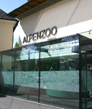 因斯布魯克高山動物園 & 亨格堡門票