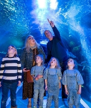 伯明翰SEA LIFE水族館門票