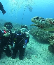 熊潛水 Bear Diving - 小琉球PADI 開放水域潛水員課程