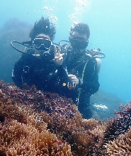 新北龍洞四季灣潛水體驗（免潛水執照）