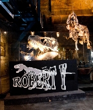 Robert Y 廢墟暴龍館門票