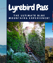 藍山隨上隨下觀光巴士通票（可加選景觀世界門票）