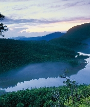 太平山國家森林遊樂區門票