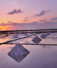 臺南海線包車遊：北門／鹽田夕陽／四草綠色隧道（臺南出發）