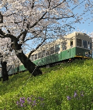 嵐電&京都地鐵一日乘車券