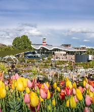 海牙馬德羅丹小人國門票