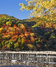 伏見稻荷大社+嵐山+清水寺+金閣寺一日遊