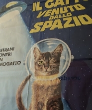 阿姆斯特丹貓咪博物館門票