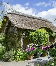 德文郡羅斯穆爾皇家園藝學會花園門票