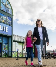 亨斯坦頓海洋生物中心門票