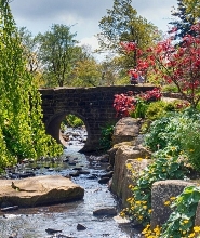 哈羅蓋特皇家園藝學會哈洛卡爾花園門票